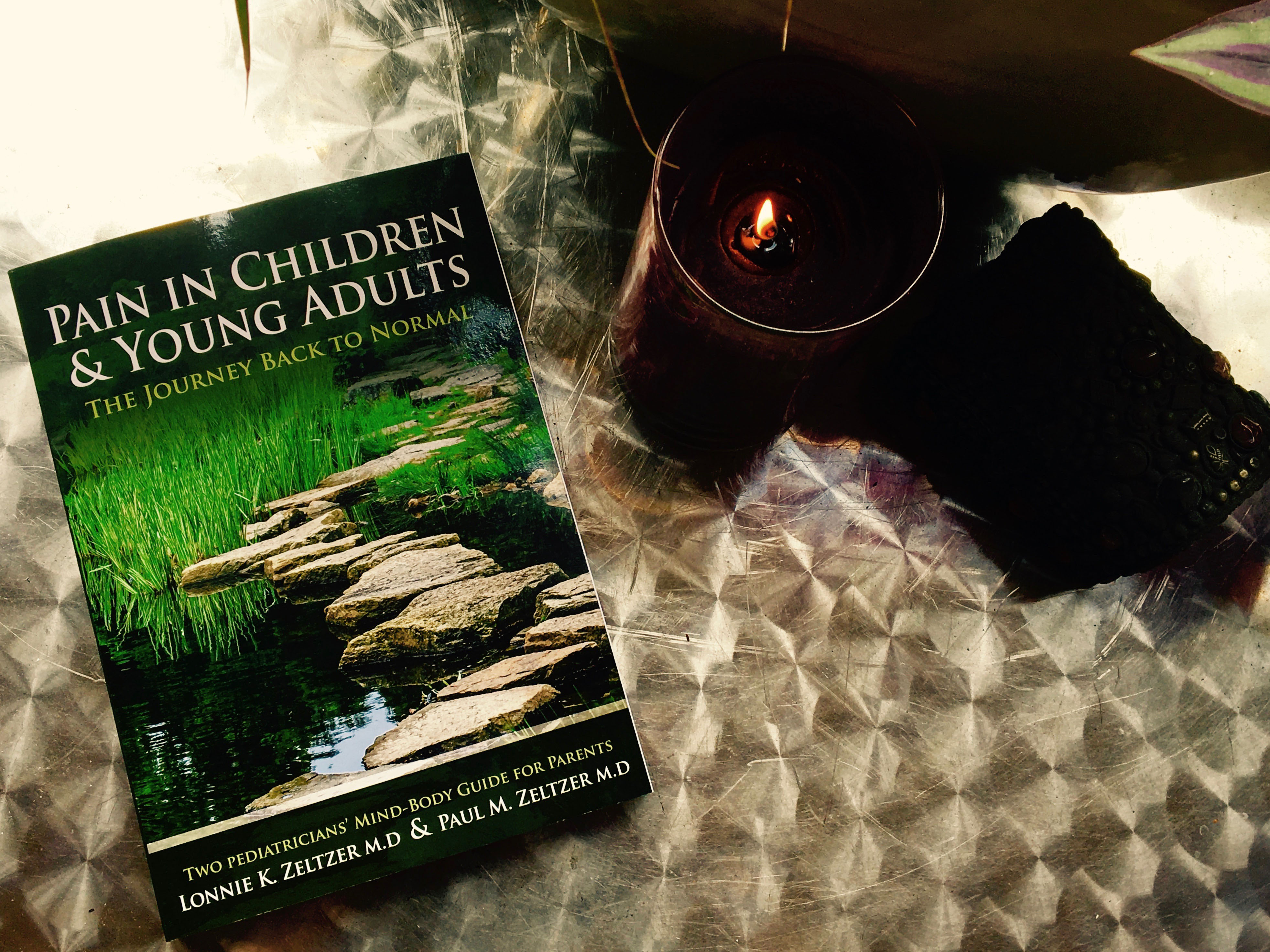 Pain in Children and Young Adults whole child foundation, whole, child, foundation, wcla, la, whole, child, pain in children and young adults, journey back to normal, new book